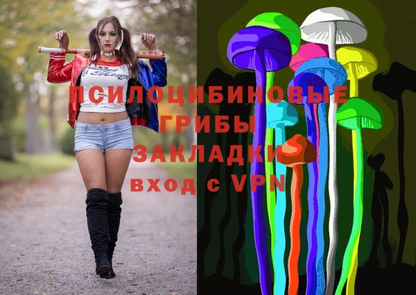 мяу мяу мука Аркадак