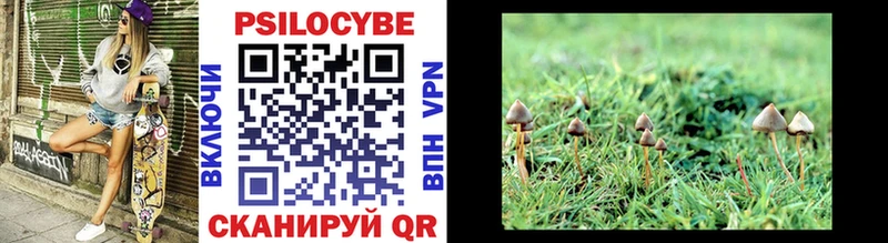 Псилоцибиновые грибы Psilocybine cubensis  Опочка 